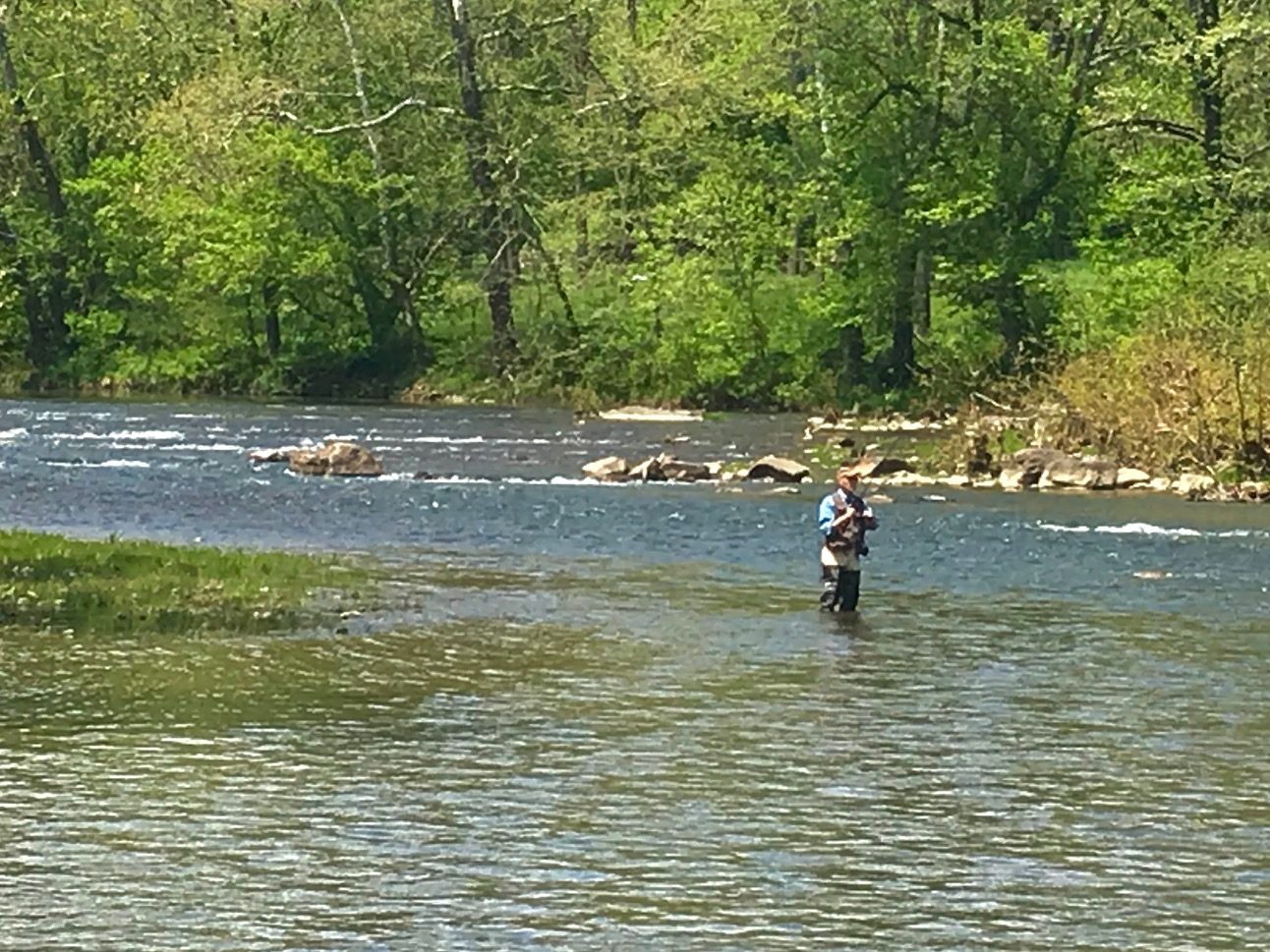 River fishing scene