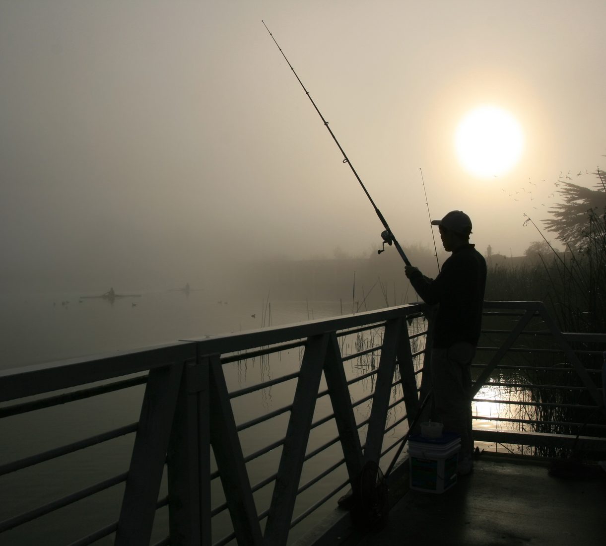 Lake angler